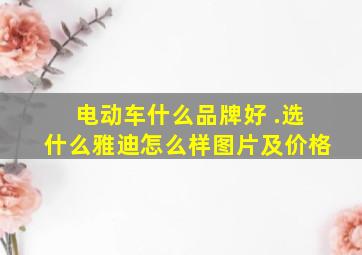 电动车什么品牌好 .选什么雅迪怎么样图片及价格